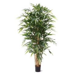 Bambù artificiale Deluxe 180 cm