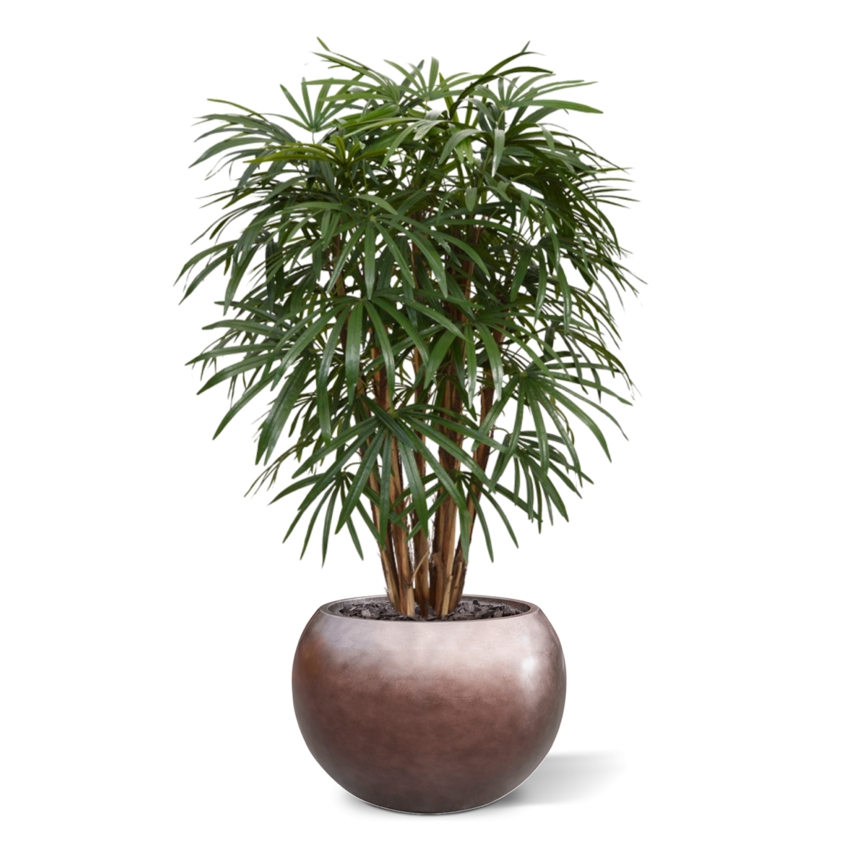 Palma artificiale Raphis XL deluxe 130 cm