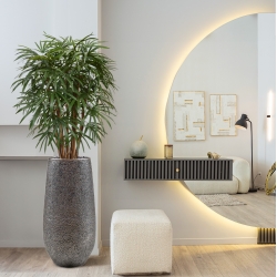 Palma artificiale Raphis XL deluxe 130 cm