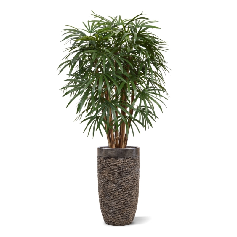 Palma artificiale Raphis XL deluxe 130 cm