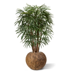 Palma artificiale Raphis XL deluxe 130 cm