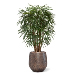Palma artificiale Raphis XL deluxe 130 cm