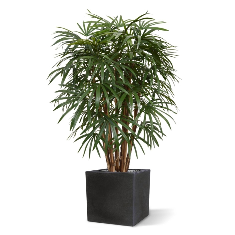 Palma artificiale Raphis XL deluxe 130 cm
