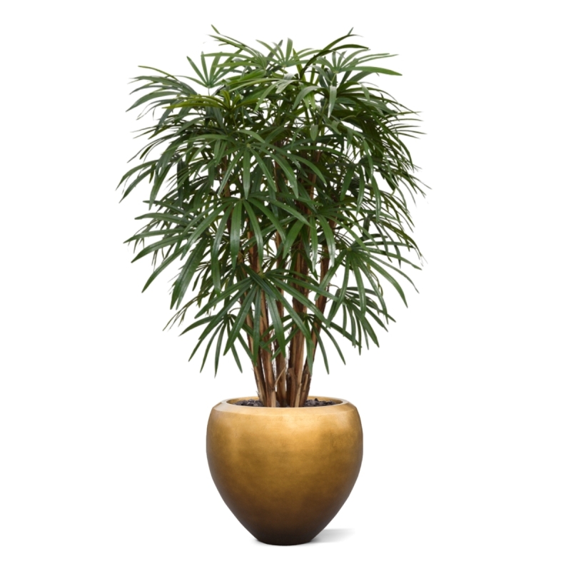 Palma artificiale Raphis XL deluxe 130 cm