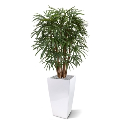 Palma artificiale Raphis XL deluxe 130 cm