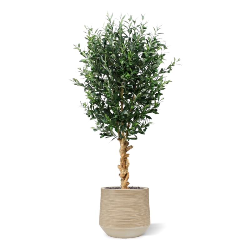 Ulivo artificiale deluxe 155 cm