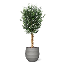 Ulivo artificiale deluxe 155 cm