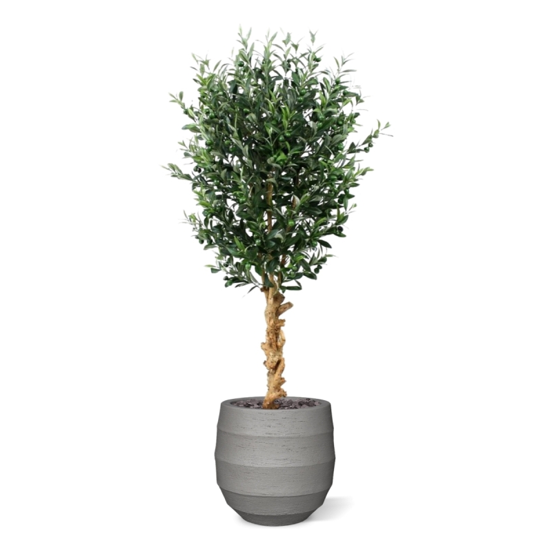 Ulivo artificiale deluxe 155 cm