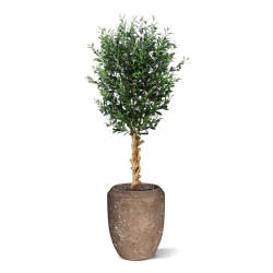 Ulivo artificiale deluxe 155 cm