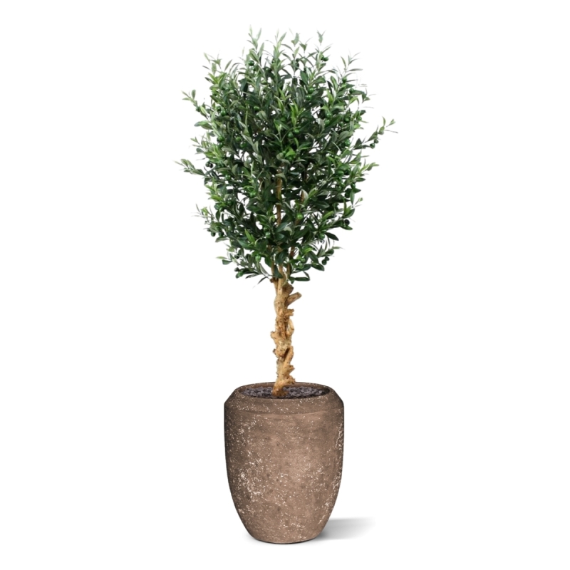 Ulivo artificiale deluxe 155 cm