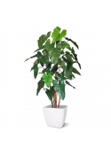 Albero artificiale Philodendron deluxe 170 cm