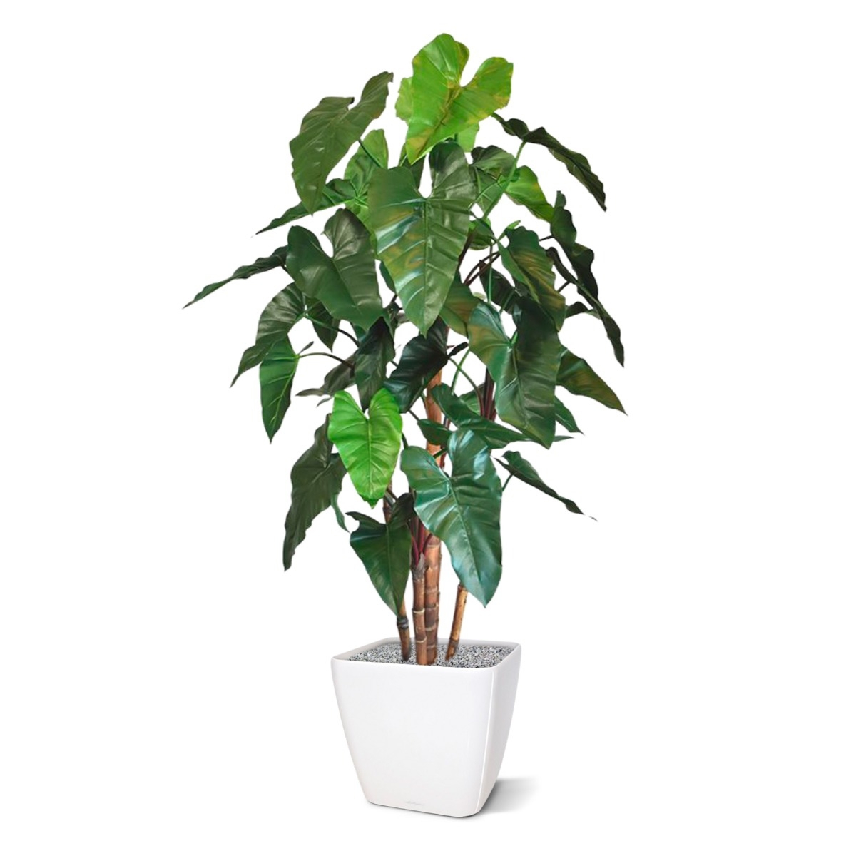 Albero artificiale Philodendron deluxe 170 cm