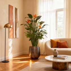 Strelitzia Deluxe 145 cm