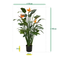 Strelitzia Deluxe 145 cm
