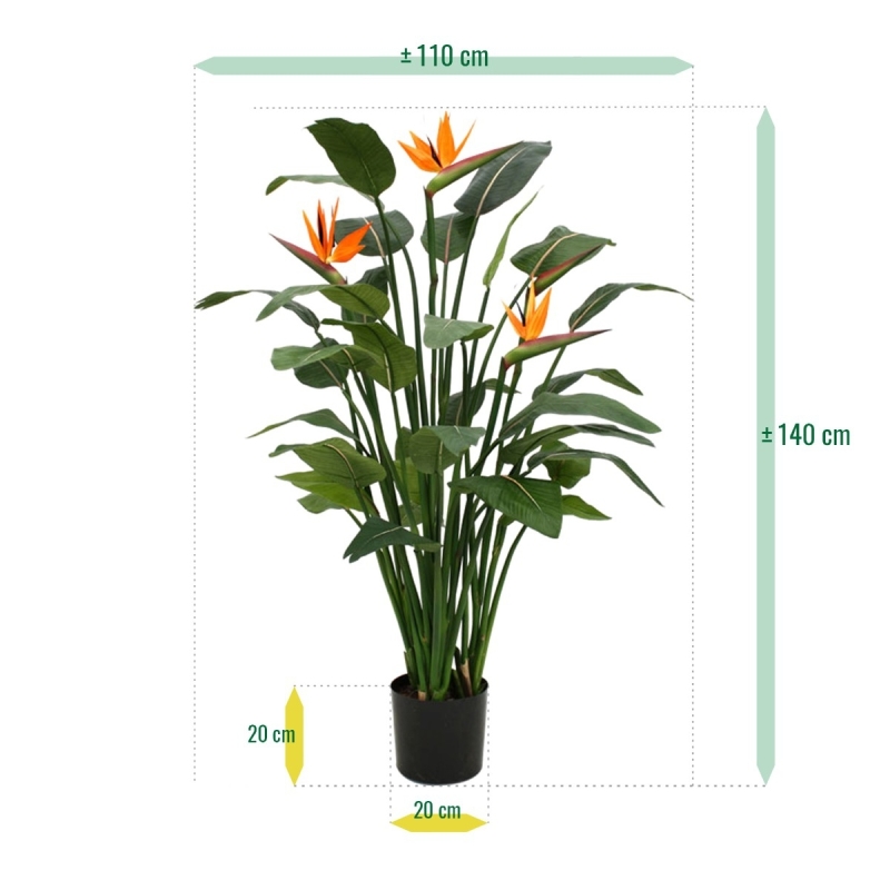 Strelitzia Deluxe 145 cm