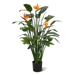 Strelitzia Deluxe 145 cm
