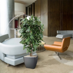 Ficus Exotica deluxe kunstplant 150cm - groen