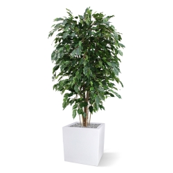 Ficus Exotica deluxe kunstplant 150cm - groen