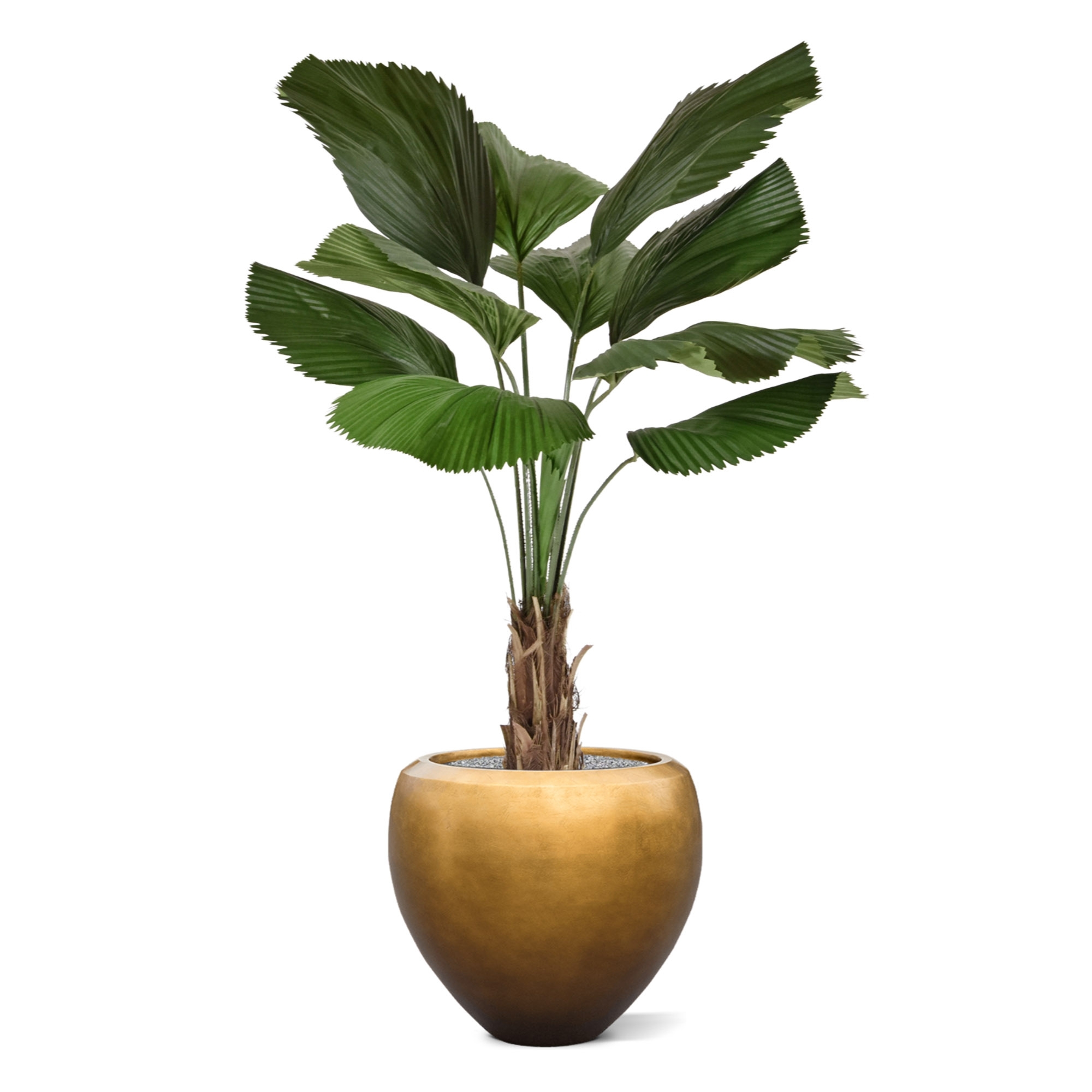 Palma artificiale Licuala 140 cm