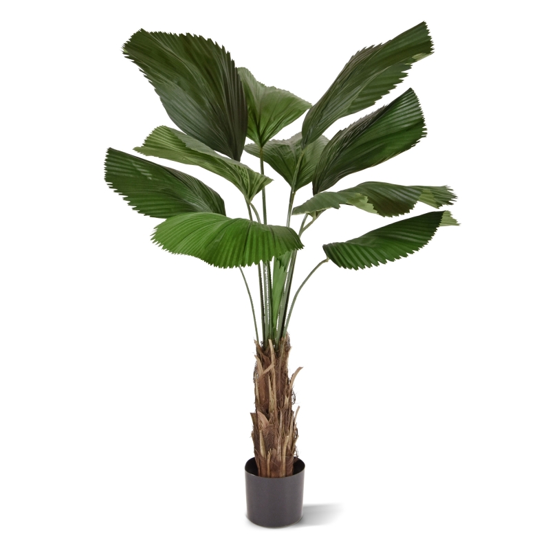 Palma artificiale Licuala 140 cm