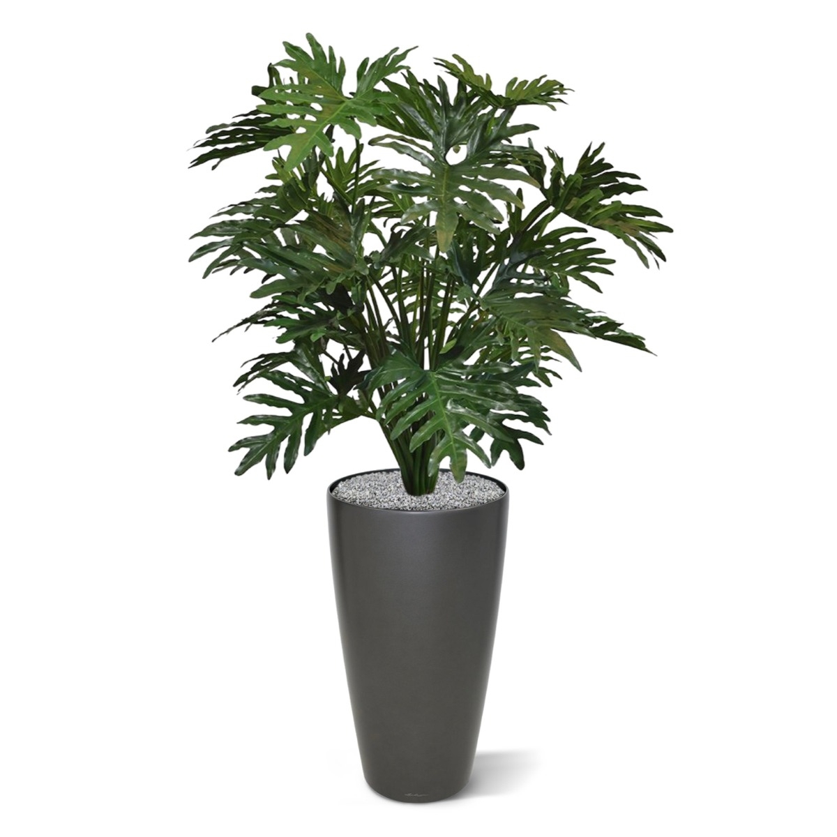 Philo Selloum XL pianta artificiale 125 cm