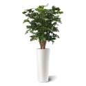 Palma artificiale Fishtail XL deluxe 130 cm