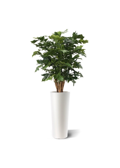 Palma artificiale Fishtail XL deluxe 130 cm