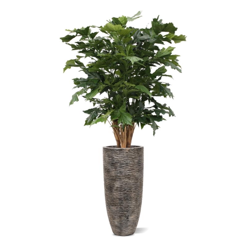 Palma artificiale Fishtail XL deluxe 130 cm