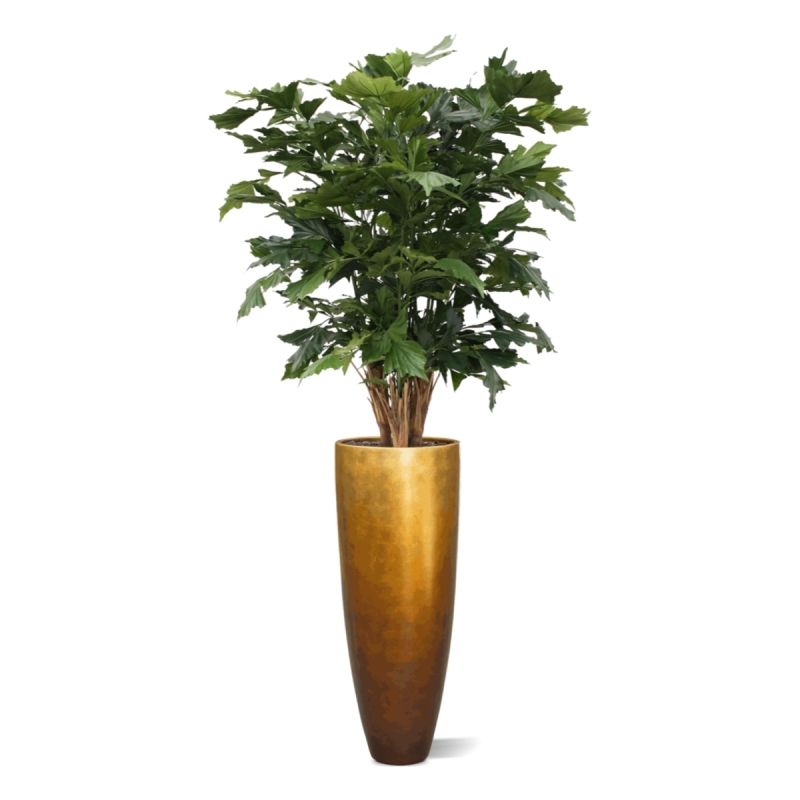 Palma artificiale Fishtail XL deluxe 130 cm