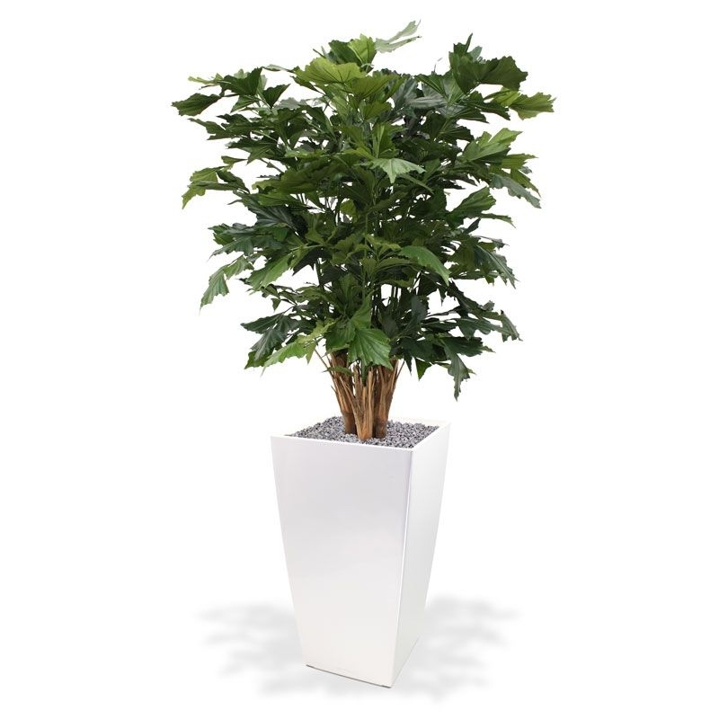 Palma artificiale Fishtail XL deluxe 130 cm