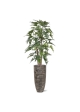 Albero artificiale Philodendron Xanadu deluxe 140 cm