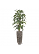 Albero artificiale Philodendron Xanadu deluxe 140 cm