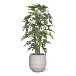 Albero artificiale Philodendron Xanadu deluxe 140 cm