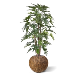 Albero artificiale Philodendron Xanadu deluxe 140 cm