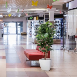 Filodendro artificiale a colonna 155 cm