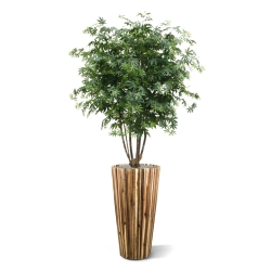 Acer Maple deluxe 165 cm verde