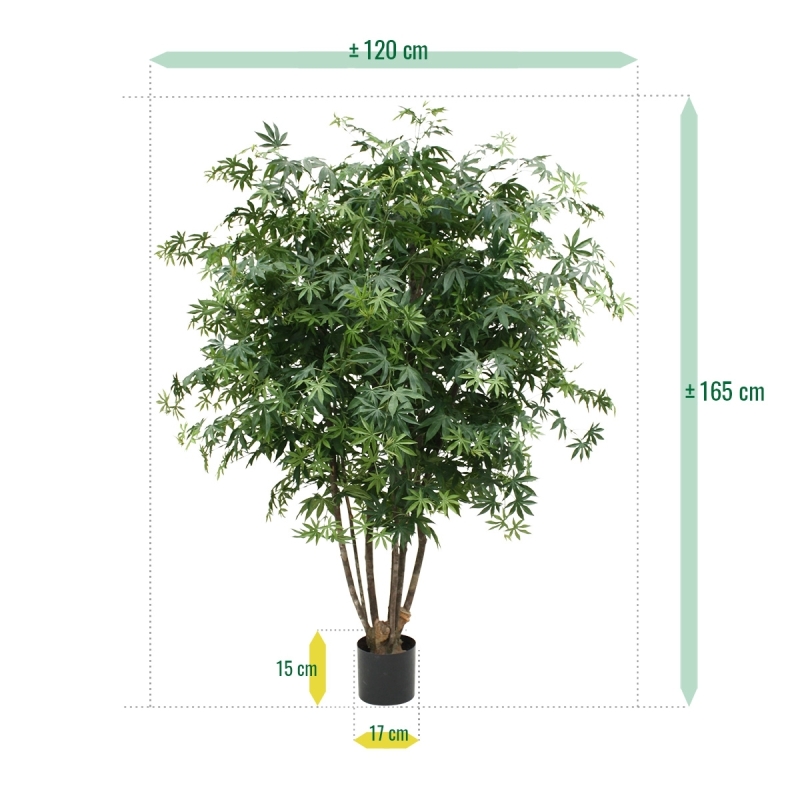 Acer Maple deluxe 165 cm verde