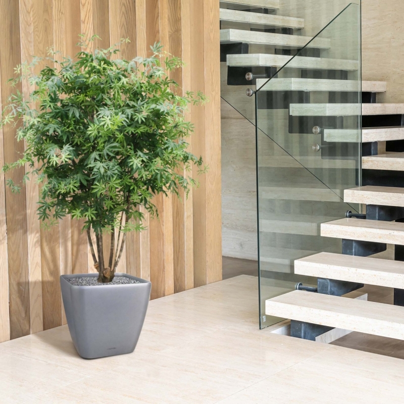 Acer Maple deluxe 165 cm verde