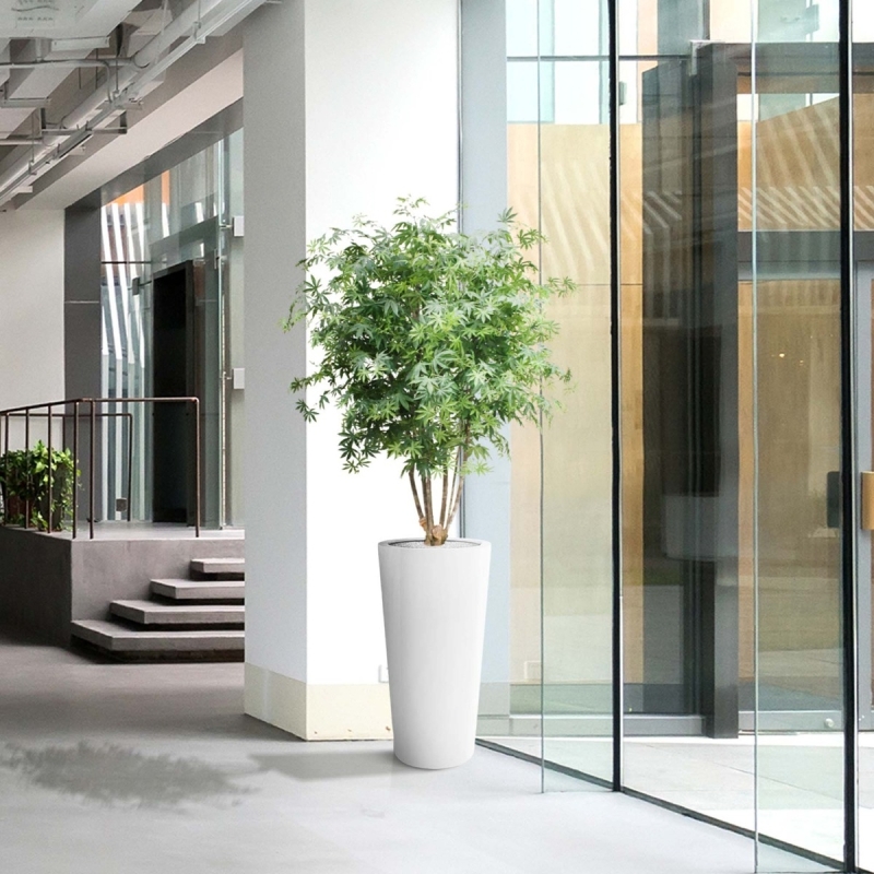 Acer Maple deluxe 165 cm verde