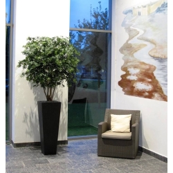 Acer Maple deluxe 165 cm verde