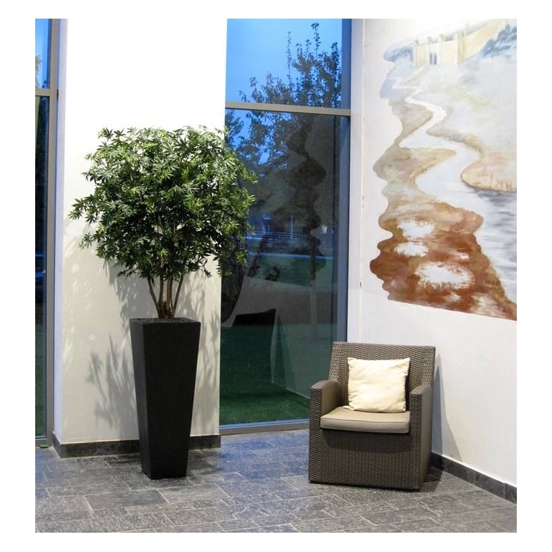 Acer Maple deluxe 165 cm verde