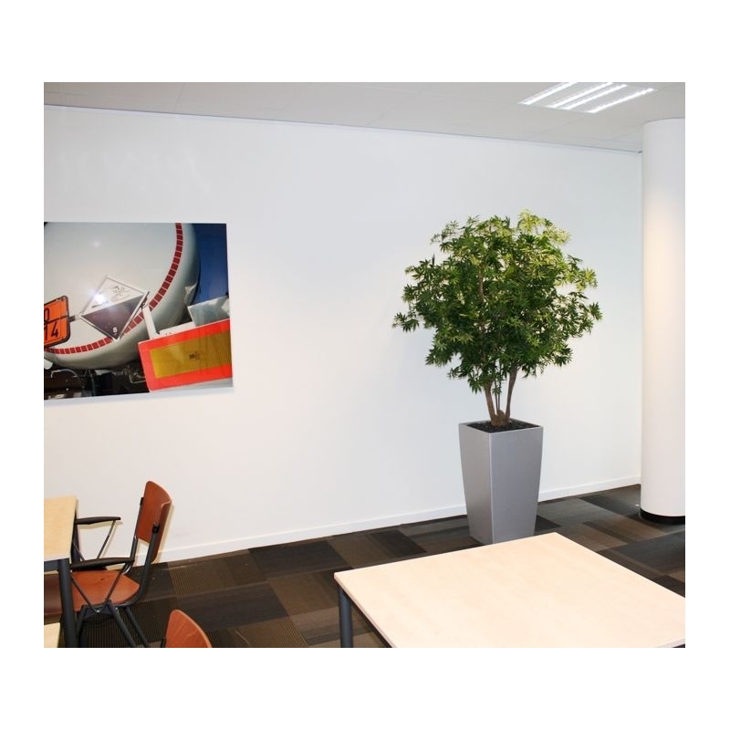 Acer Maple deluxe 165 cm verde