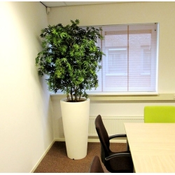 Acer Maple deluxe 165 cm verde