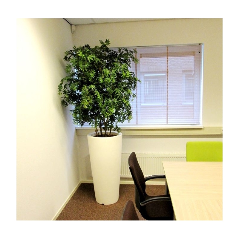 Acer Maple deluxe 165 cm verde