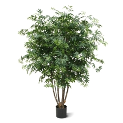 Acer Maple deluxe 165 cm verde