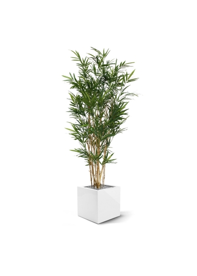 Albero artificiale Royal Bamboo 165 cm - verde