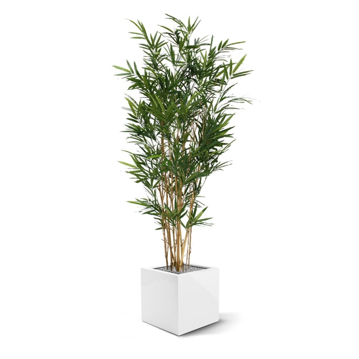 Albero artificiale Royal Bamboo 165 cm - verde