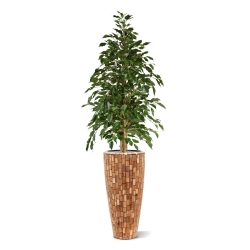 Ficus artificiale Exotica 150 cm