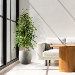 Ficus artificiale Exotica 150 cm