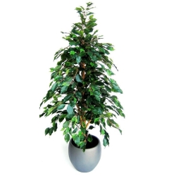 Ficus artificiale Exotica 150 cm